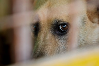 Тематическое фото Евгений Кулешов, ИА PrimaMedia.ru